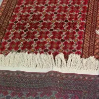 قالیچه دستباف نو|فرش|تربتحیدریه, مظفریه|دیوار
