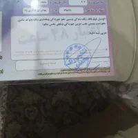 207ارتقا یافته فول85گانه|خودرو سواری و وانت|تهران, خزانه|دیوار