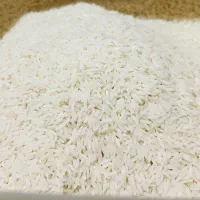 فروش نقد حدودیک تن برنج هاشمی اعلامستقیم از کشاورز