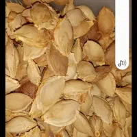 هسته زردآلو تلخ وشیرین کیلویی ۲۵۰