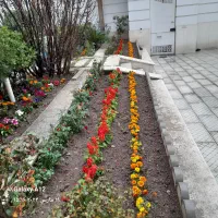 خدمات باغبانی سرویس‌تمام  نقاط تهران