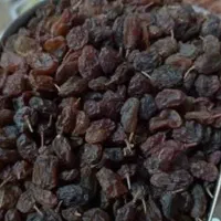 کشمش آفتابی درجه یک بوانات