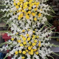 گل آرایی|گل و گیاه طبیعی|ملایر, |دیوار