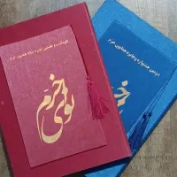 آموزش ویلن ایرانی و کلاسیک