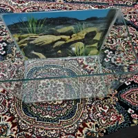 آکواریوم شیشه خم معاوضه با مرغ عشق|ماهی|جوانرود, |دیوار