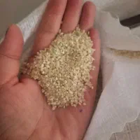فروش خرده برنج کامفیروز اصل|خوردنی و آشامیدنی|شیراز, شهرک مدرس|دیوار