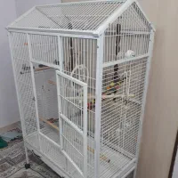 قفس بزرگ طوطی