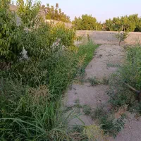 باغچه فروشی منجیل آباد|فروش زمین و ملک کلنگی|رباطکریم, منجیل آباد|دیوار