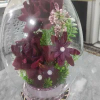 گل هدیه باقیمت مناسب از بیرون بگیری 450کمترنمیدن