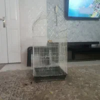 دوتا قفس پرنده