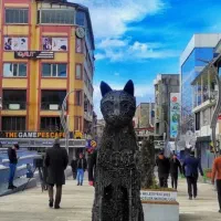 تور وان گروهی 14 اردیبهشت هتل چهارستاره