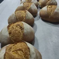 استخدام نیرو ساده ترکیه استانبول