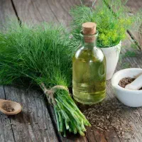 همکاری برای بانوان علاقمندبه حوزه سلامتی کارآفرینی
