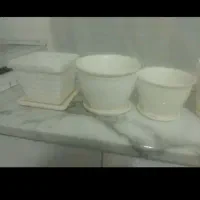 گلدان پلاستیکی|گل و گیاه طبیعی|بهارستان, |دیوار