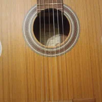 گیتار پارسی m5|گیتار، بیس، امپلیفایر|شیراز, دکتر حسابی|دیوار