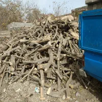 خرید خریدار انواع چوب مرکبات صنوبر