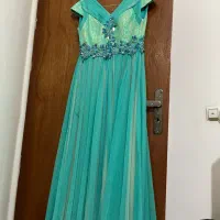 لباس مجلسی|لباس|ساری, |دیوار