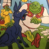 فرش ۴متری نو