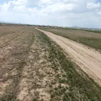 زمین دیمی فروشی فقط اجاره ای نیس اشتباه وارد شده|اجارهٔ دفتر صنعتی، کشاورزی، تجاری|قوچان, |دیوار