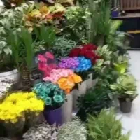 گل فروشی پرند