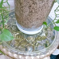 دوعددمیزطلایی شیک دکورشیشه خور|مبلمان خانگی و میز عسلی|علی‌آباد کتول, |دیوار