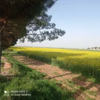 3400-متر-زمین-با-استخر-لایه-فنس-شده-جهت-باغ