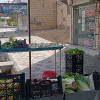 حراج  میوه و تره بار به قیمت میدان