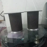 گل میز
