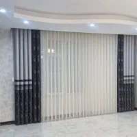 زبرا ،ورتیکال