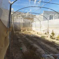 سازه گلخانه|ابزارآلات|رونیز, |دیوار