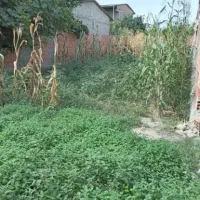 زمین خانه سری|فروش زمین و ملک کلنگی|نوکنده, |دیوار