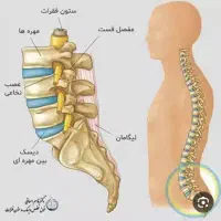 یا هوالشافی ،متخصص طب سنتی بیورزونانس