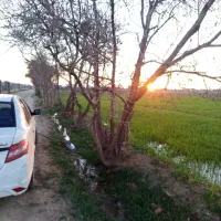 زمین باغی فروشی
