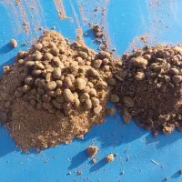 کود حیوانی|خدمات باغبانی و درختکاری|گمیشان, |دیوار