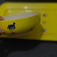 سرویس چینی|ظروف سرو و پذیرایی|کرمانشاه, |دیوار