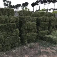 یونجه سوپر درجه یک