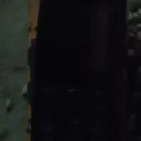 ت.بادی۵نیم.معاوضه با گوش