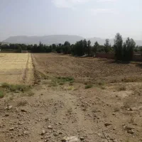 زمین کشاورزی ۶ هکتاری