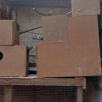 قفس و لانه پرنده