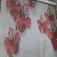 پرده