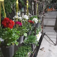 60متر-نیمه-زیر-زمین-محمدشهر