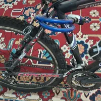 دوچرخه ۲۶ ویوا اصل تایوان