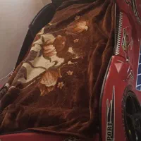 تختخواب نوجوان|تخت و سرویس خواب|اهواز, زیتون کارمندی|دیوار