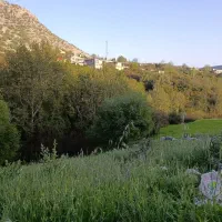 فروش-زمین-200-متر-واگذاری-فرمانداری