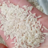برنج طارم|خوردنی و آشامیدنی|ایلام, |دیوار