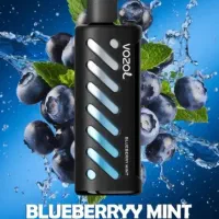 فروش ویپ و پاد یکبارمصرف - سالت ، ارسال رایگان رشت