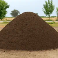 کود حیوانی و گاوی