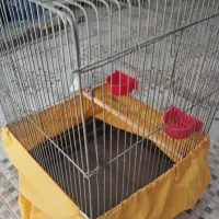 قفس پرنده و دوچرخه تیتانیوم|دوچرخه، اسکیت، اسکوتر|بندر کنگان, |دیوار