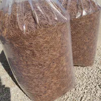 میلورم|لوازم جانبی حیوانات|شیراز, حسن آباد|دیوار