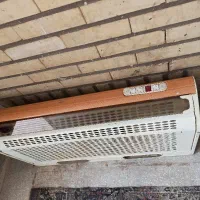 هود|هود|قم, بوستان علوی|دیوار